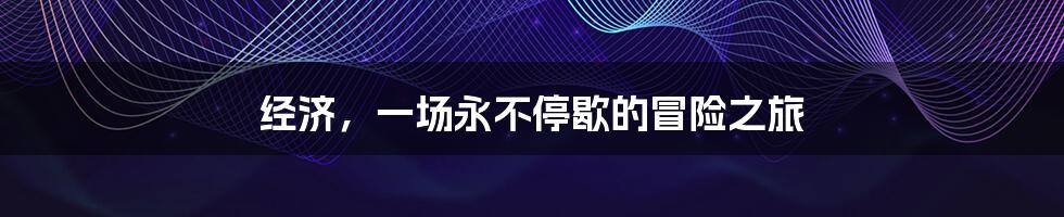 经济，一场永不停歇的冒险之旅