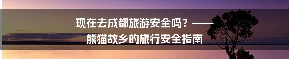 现在去成都旅游安全吗?—— 熊猫故乡的旅行安全指南