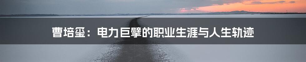 曹培玺：电力巨擘的职业生涯与人生轨迹