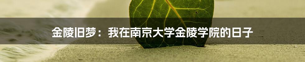 金陵旧梦:我在南京大学金陵学院的日子