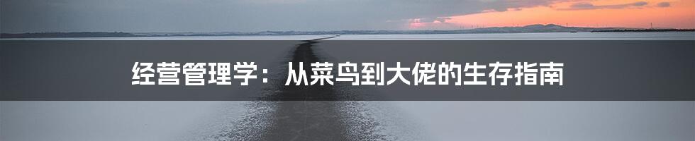经营管理学：从菜鸟到大佬的生存指南