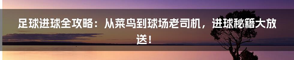 足球进球全攻略：从菜鸟到球场老司机，进球秘籍大放送！