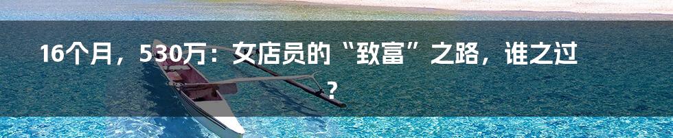 16个月，530万：女店员的“致富”之路，谁之过？
