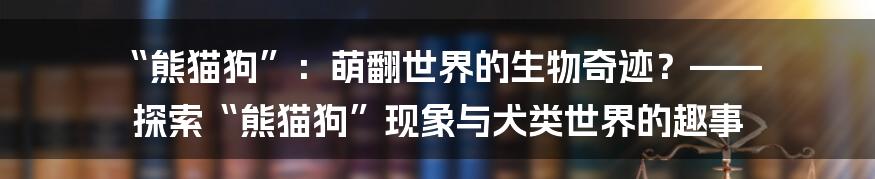 “熊猫狗”：萌翻世界的生物奇迹？—— 探索“熊猫狗”现象与犬类世界的趣事