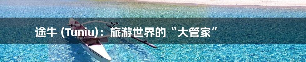 途牛 (Tuniu)：旅游世界的“大管家”