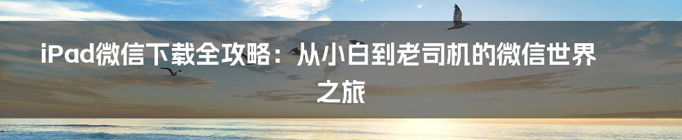 iPad微信下载全攻略：从小白到老司机的微信世界之旅