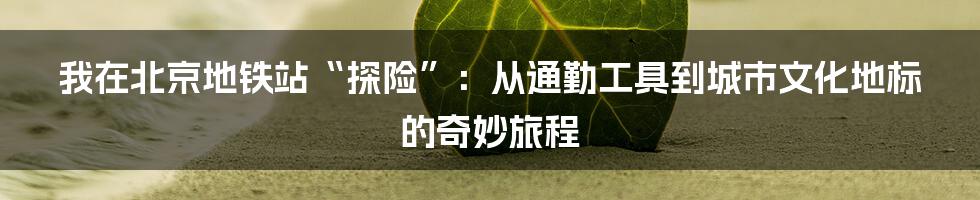 我在北京地铁站“探险”:从通勤工具到城市文化地标的奇妙旅程