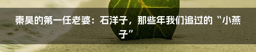 秦昊的第一任老婆：石洋子，那些年我们追过的“小燕子”