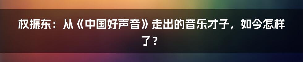 权振东：从《中国好声音》走出的音乐才子，如今怎样了？