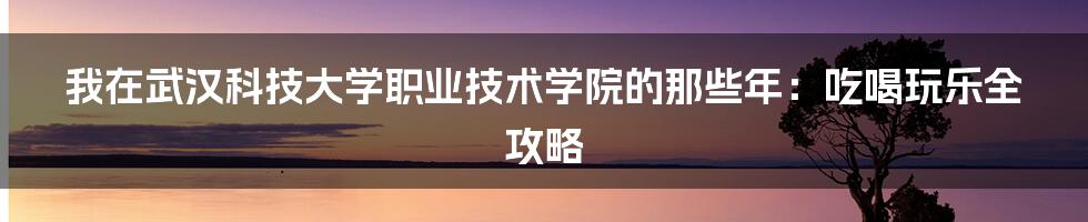 我在武汉科技大学职业技术学院的那些年:吃喝玩乐全攻略