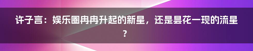 许子言：娱乐圈冉冉升起的新星，还是昙花一现的流星？
