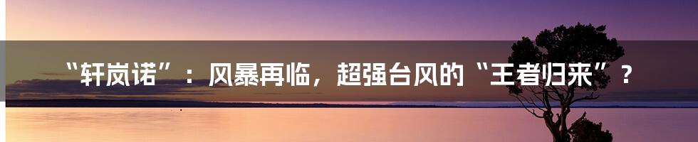 “轩岚诺”：风暴再临，超强台风的“王者归来”？