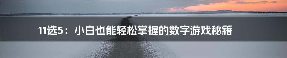 11选5:小白也能轻松掌握的数字游戏秘籍
