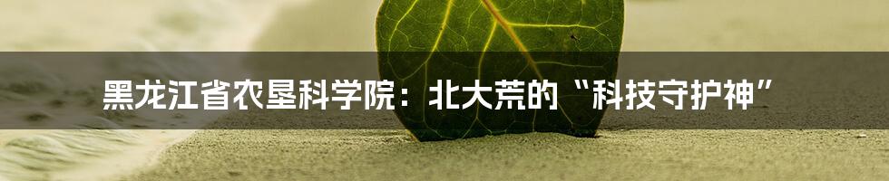 黑龙江省农垦科学院:北大荒的“科技守护神”