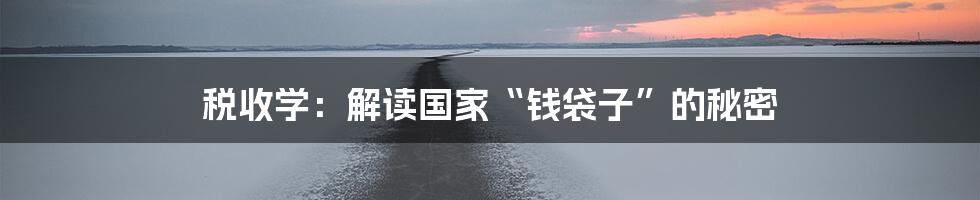 税收学:解读国家“钱袋子”的秘密