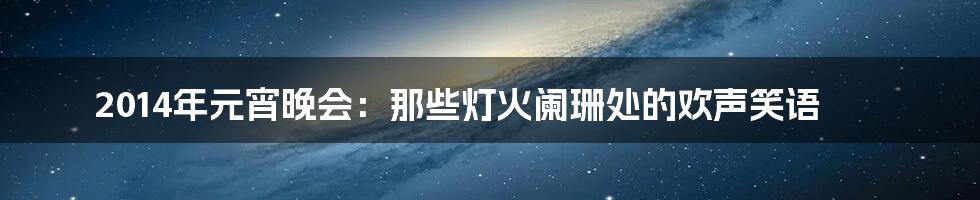 2014年元宵晚会:那些灯火阑珊处的欢声笑语