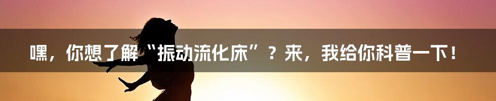 嘿，你想了解“振动流化床”？来，我给你科普一下！