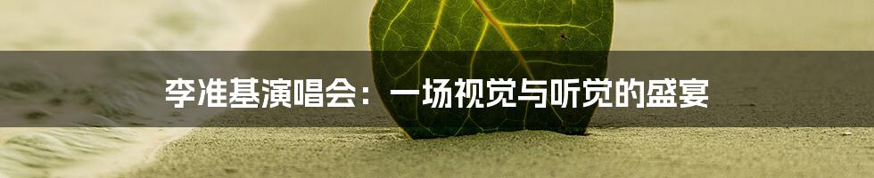 李准基演唱会:一场视觉与听觉的盛宴