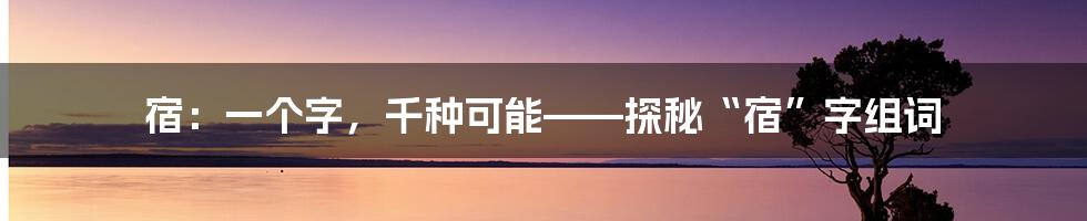 宿：一个字，千种可能——探秘“宿”字组词