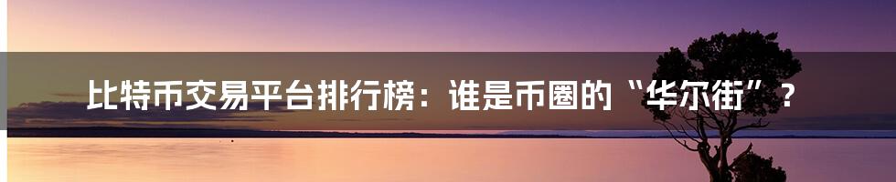比特币交易平台排行榜:谁是币圈的“华尔街”?