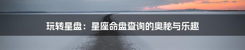 玩转星盘：星座命盘查询的奥秘与乐趣