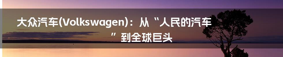 大众汽车(Volkswagen)：从“人民的汽车”到全球巨头