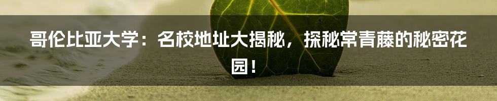 哥伦比亚大学：名校地址大揭秘，探秘常青藤的秘密花园！