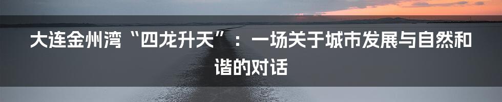 大连金州湾“四龙升天”:一场关于城市发展与自然和谐的对话