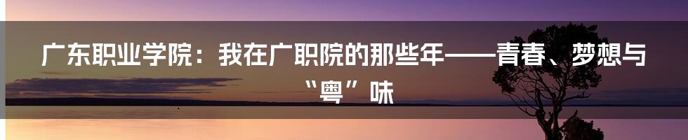 广东职业学院:我在广职院的那些年——青春、梦想与“粤”味