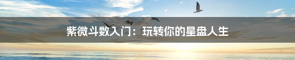 紫微斗数入门：玩转你的星盘人生