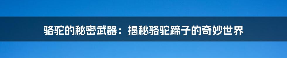 骆驼的秘密武器:揭秘骆驼蹄子的奇妙世界