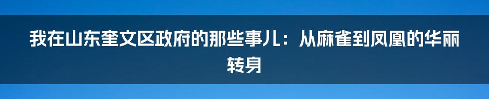 我在山东奎文区政府的那些事儿：从麻雀到凤凰的华丽转身