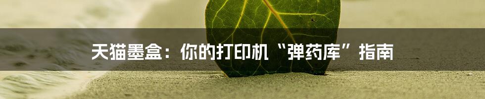 天猫墨盒：你的打印机“弹药库”指南