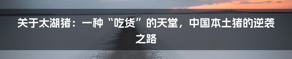 关于太湖猪：一种“吃货”的天堂，中国本土猪的逆袭之路