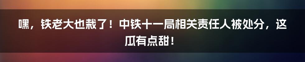 嘿,铁老大也栽了!中铁十一局相关责任人被处分,这瓜有点甜!
