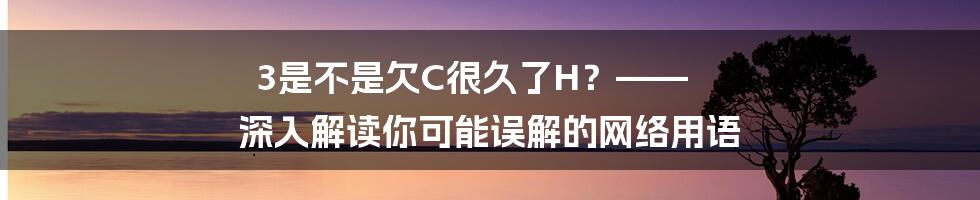 3是不是欠C很久了H？—— 深入解读你可能误解的网络用语