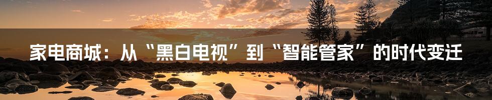 家电商城：从“黑白电视”到“智能管家”的时代变迁