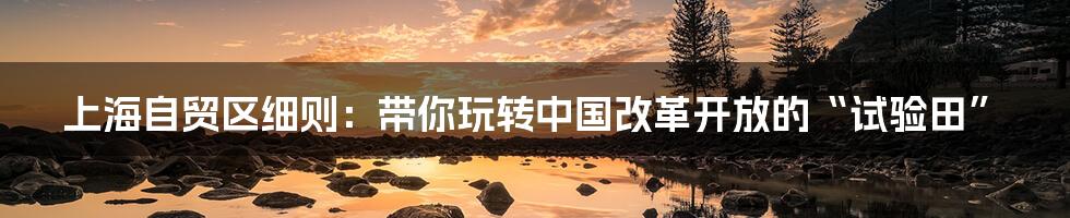 上海自贸区细则:带你玩转中国改革开放的“试验田”