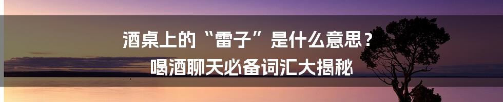 酒桌上的“雷子”是什么意思？ 喝酒聊天必备词汇大揭秘