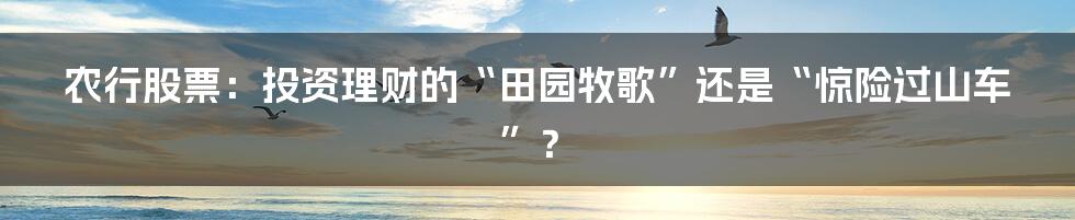农行股票：投资理财的“田园牧歌”还是“惊险过山车”？