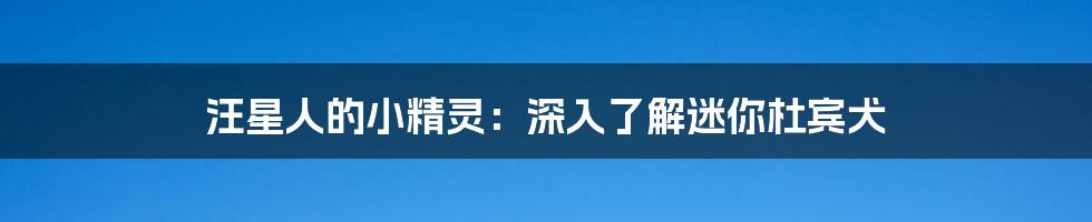 汪星人的小精灵:深入了解迷你杜宾犬