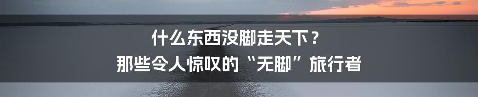 什么东西没脚走天下？ 那些令人惊叹的“无脚”旅行者