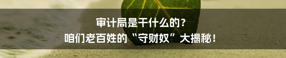 审计局是干什么的？ 咱们老百姓的“守财奴”大揭秘！