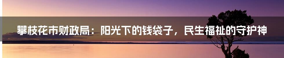 攀枝花市财政局:阳光下的钱袋子,民生福祉的守护神