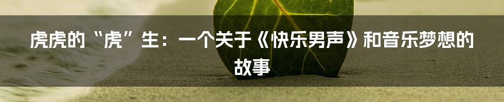 虎虎的“虎”生:一个关于《快乐男声》和音乐梦想的故事