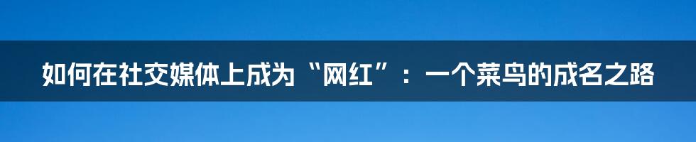如何在社交媒体上成为“网红”：一个菜鸟的成名之路