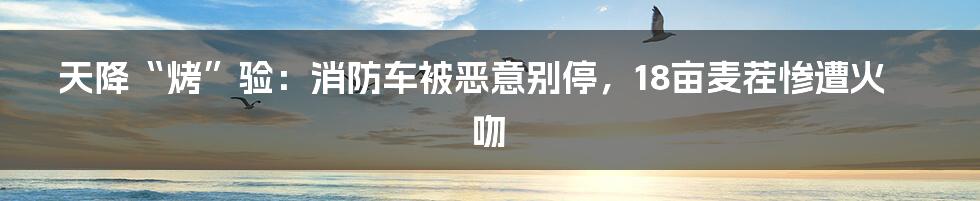 天降“烤”验：消防车被恶意别停，18亩麦茬惨遭火吻