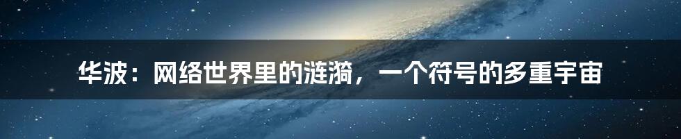 华波：网络世界里的涟漪，一个符号的多重宇宙