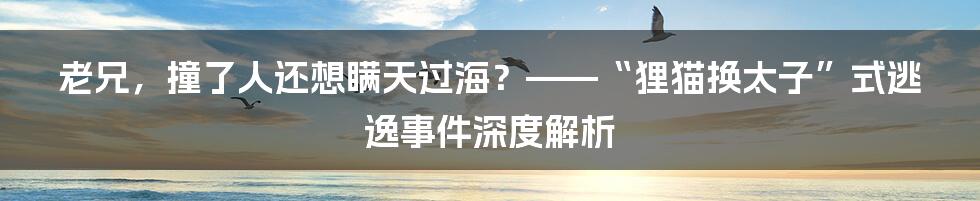 老兄，撞了人还想瞒天过海？——“狸猫换太子”式逃逸事件深度解析