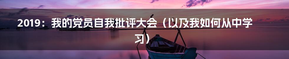 2019：我的党员自我批评大会（以及我如何从中学习）